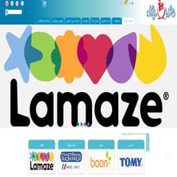 طراحی سایت فراز تجارت نی نی دریا